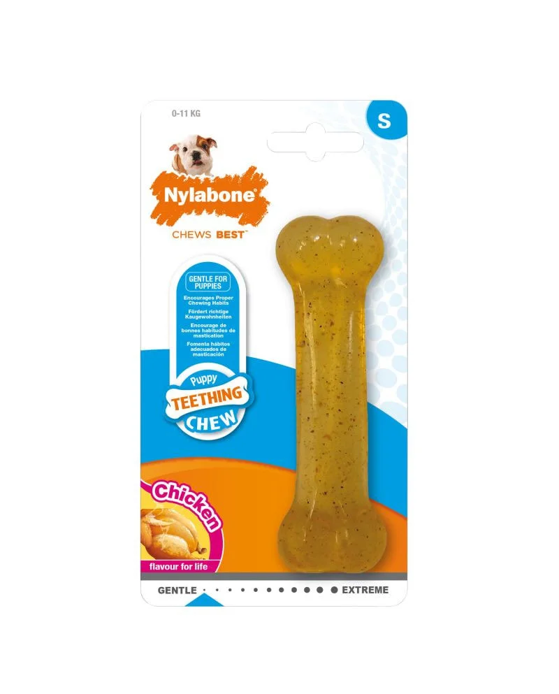 Mordedor para perro Nylabone 1