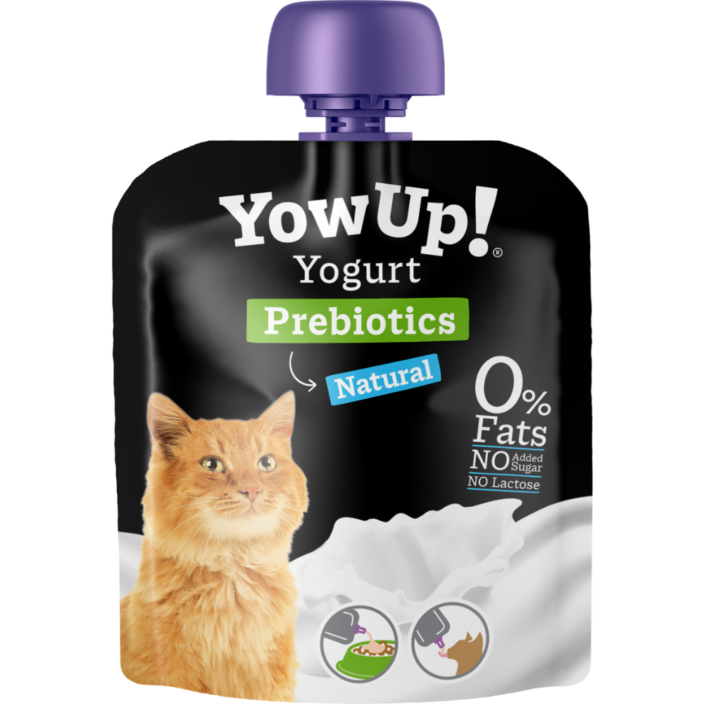 Yogur natural para gatos