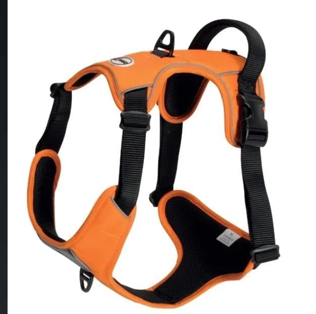 Arnés para Perros Camon 2