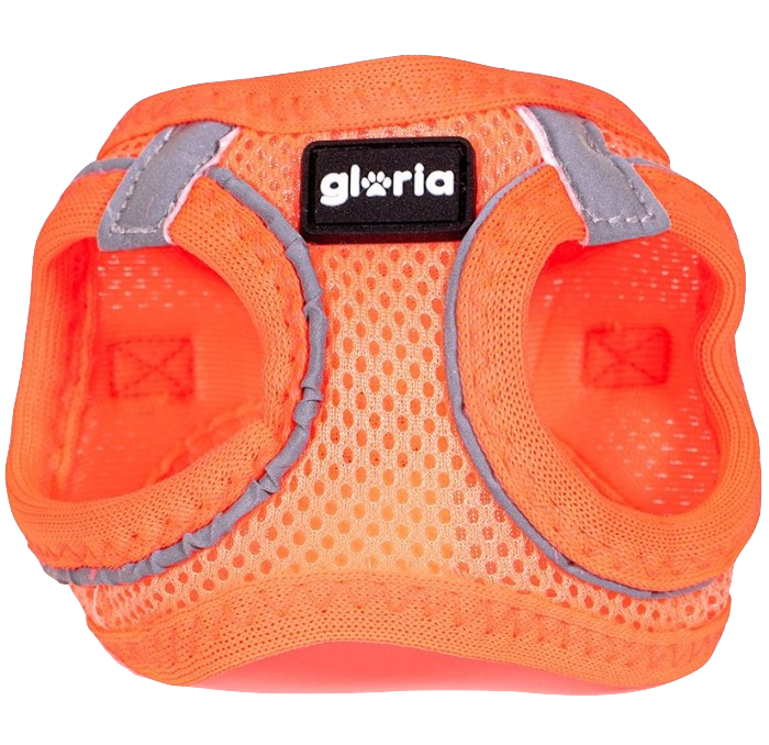 gloria arnes trekstar mesh m