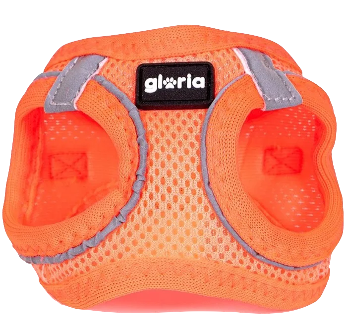 gloria arnes trekstar mesh m