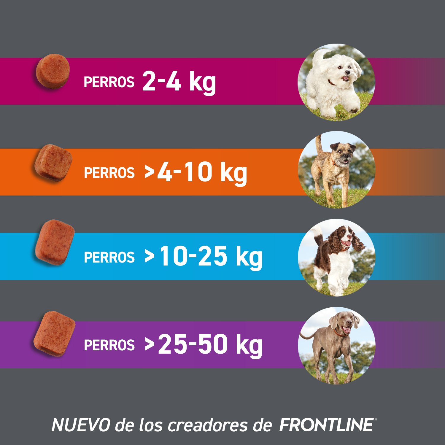 Comprimidos Anti Pulgas y Garrapatas para Perros FrontPro Tamaños